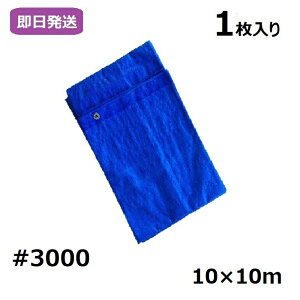 Ɩp u[V[g  H Cxg { W[V[g ^ Ԍ ԉ C ډB J悯 悯 ی H Cxg { W[V[g ^ Ԍ ԉ C ډB J