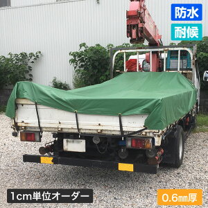 gbNV[g GXezm0.6mmny345`394cm×301`350cmz