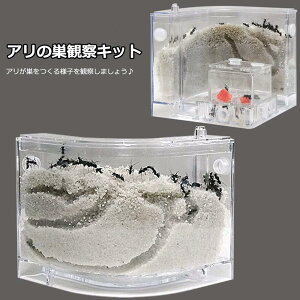 【今月31日までにご注文で5%割引!】アリの巣 あり観察キット 飼育ケース 砂 自由研究 小学生 あり 蟻 飼育セット 実験セット 観察 夏休み 学習用