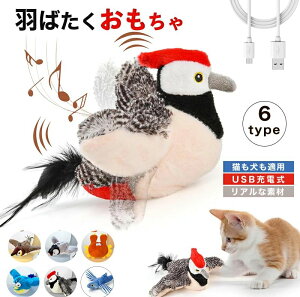 yTɂ5%OFFzL    XgXU ^b`N  Lp lR A V ^s  L炵 dH΂ XY Ht  V~