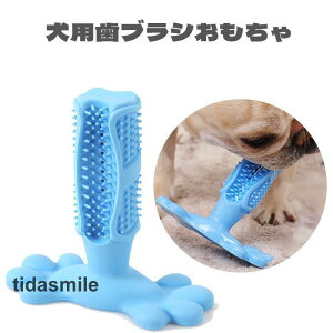 yTɂ5%OFFzpނ  uV ފߋ  qފߋ Ύ360x VRS ϋv̂ _炩 oPAp