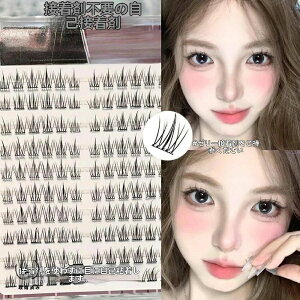 y{̂̓|Cg5{z܂ p ڒܕsv ̂sv sZbgt ܂  i` \tg R  ACCN ACbV 