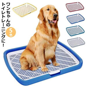 yTɂ5%OFFzybggCC[ ^gC gC Ch p }[LO|[ t`t g[jO  bV EH[g[ {bNX