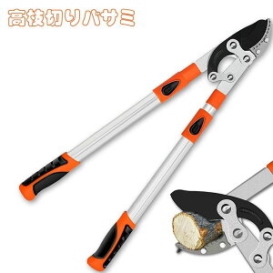 yTɂ5%OFFzoT~ |΂ }؂ ؒfa60mm ͌^ ΂ ZiKLk 69-103cm }؂oT~ |p΂ |pi 荞݂΂ Lk | ̙