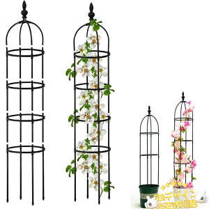 y{̂̓|Cg5{zIxXN gX | K[fjOpx    90/120/150/180cm ȒPg \ Ԃǂ ~jg}g I o K[fjO ATKI O 