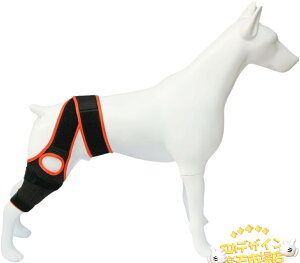 ySi2_5%OFFzybgpT|[^[ p nr pi 둫 Gpbh u[X pT|[^[ ^ ^ ^ T|[^[  ֐ veN^[ V pi ی 