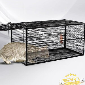 ySi2_5%OFFzLp ߊl S ߂ JS  Qb ߊl  lY~ ߊl@nNrV  ߂JS ACO} ߊl Aj}gbv (39*18*18cm)