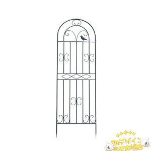 ySi2_5%OFFzK[f ACA[YtFX K[fjOpx op  ACr[ N}`X |x ȒPg R\  t[AW [Y KN  