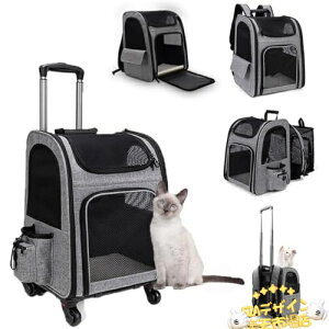 ySi2_5%OFFzybgL[ bN LX^[t ybg L  L[obO L[ J[g bV ʋC g\ ܂ O\ o hCu s