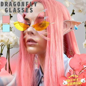 ySi2_5%OFFzTOX g{̉H sNCG[orp[vu[ Kl ؍t@bV fB[X Y jp ps ou[  킢  t@bV