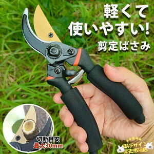 oT~ y ΂ 2iK߉\  p |p͂ SK85 oT~ SbNt ₷TNTN؂ lC   }؂ ʎ ؙp }؂ ~ 