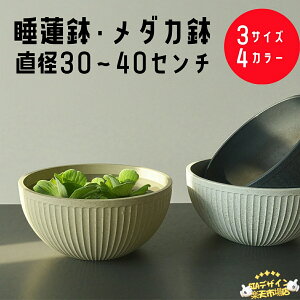 �y�S�i2�_��5%OFF�z���@�� �X�C������ ���_�J �� ������ �y�� �A�ؔ� ��^ 30 35 40cm �v���X�`�b�N ������� �۔� ���甫 ������ �y�� ����ɂ��� ��� ���O ���� �����A����