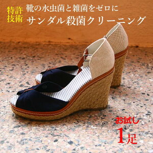 y  zz  fB[XT_ ې􂢃N[jO E ΍ h~~[ r[`T_u[T T{T_1