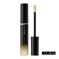 ◆4H限定！先着15％OFF＆P10倍◆【カネボウ認定ショップ】カネボウ　デザイニングカラーリクイド　5.6g（…