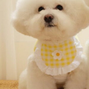 yz X^C L 悾ꂩ hbOEFA Gv LbgEFA ybgpi hbOX^C Rbg `FbN  XJ[t [X LbgX^C hbOANZT[ MK