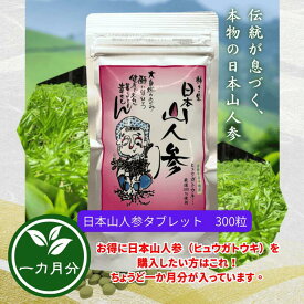 日本山人参（ヒュウガトウキ） 300粒