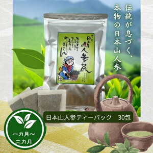 {RlQiqEKgELj _̑ {茧Y qEKgEL ꂢeB[pbN 1 30