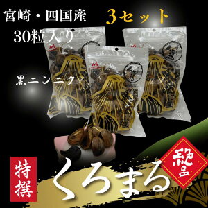 ɂɂ ܂ 30 i{茧YElYj