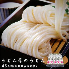 送料無料 うどん 讃岐うどん 乾麺 まとめ買い お取り寄せ 長期保存 うどん県のうどん 45人前 300gx15入り お徳用 特産品 udonken-45nin