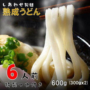 1000円ポッキリ うどん 讃岐うどん 600g (300gx2袋) つゆ付き 送料無料 熟成 本場讃岐純生 熟成うどん 太麺 うどん お取り寄せ julusei6-tuyu