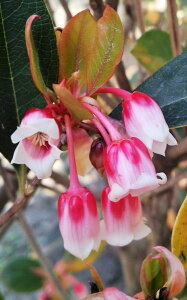 c{~ty΃hE_ccW@sNVfAz90cmO@c@`hE_ccW@҂񂭂ł肠@zRhE_ccW