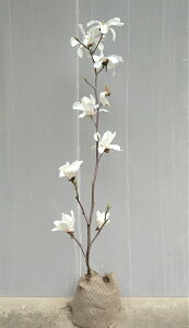 c{~tyؘ@inNNjXm[zCgz1.5mO@c