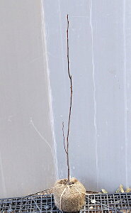 yW[x[z0.8mO c@1{@AJUCt{N@Wx[