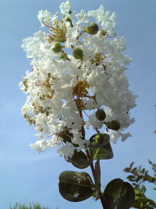 2026NJԗ\cyVoiTXxz1.5mO@c@ԕSg@΂Ȃ邷ׂ