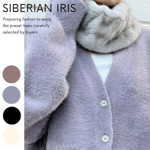 SALEIy GRt@[Xk[hz tFCNt@[ Vv Xk[h lbNEH[}[ V[g }t[ fB[X 킢ӂӂ ʊw eq ̎q NX}Xv[g H ~ g 