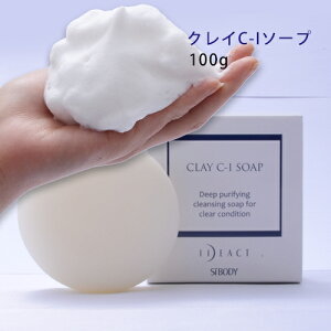 yCfAANgz NCC-I\[v 100gi3j\[v ێ Ci[hC Ό 点 A Y ^iNNC   ̉Ƃ݂CɂȂ 