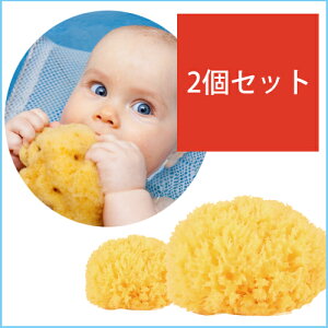 �C�^���A�Y�ō����C�ȃC���R���| �i�`�������V�[�X�|���W ���a��14cm �y2�Z�b�g�z