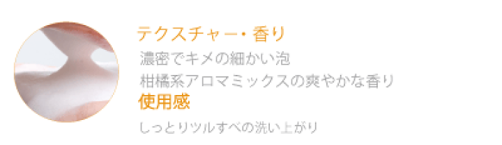 楽天市場】VCシリーズ 薬用VC泡フォーマー 150mLにきび(ニキビ）用