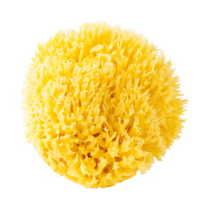 yCR|z i`V[X|W'(C) {fBEHbV }V} L ׂ VRC e ӂ _炩G A~m_ q Ԃ  C^AY nC i