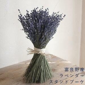 ラベンダー 花束 生花の人気商品 通販 価格比較 価格 Com