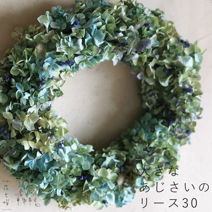楽天市場】【 約直径34cm 】大きなあじさいのリース 30＊ 一つとして  