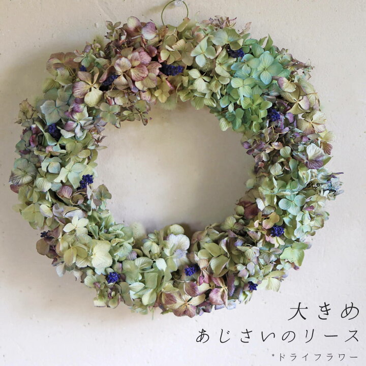 楽天市場 大きめあじさいのリース 一つとして同じ色のない自然のグラデーション ドライフラワーリース お祝い 誕生日 お礼 ナチュラル インテリア 北欧 ボタニカル おしゃれ リース アジサイ ドライフラワー雑貨 花七曜