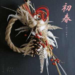 ߓ~j[Xyzt ͂͂ / ߏ ߂Ȃ A hCt[  CeA i` Vv fBXvC