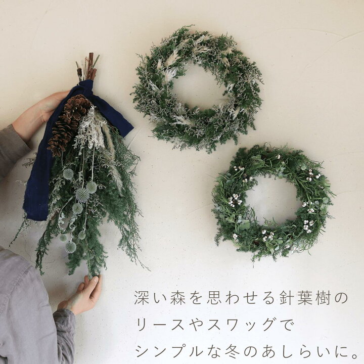 楽天市場】大きめ針葉樹のリース ＊ ホワイト ドライフラワー / 深い森 