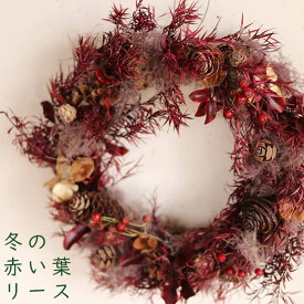 楽天市場 クリスマスリース シンプルの通販