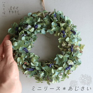 y񒼌a17cmz ~j[X    xǖYx_[ƎR̃Of[Vi`ȃAWTC̃hCt[[X  j a  zCgf[ v[