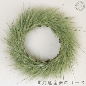 kCn^J̃[X  񒼌a40cm̖kCYn^JgVvŃi`ȑ傫hCt[[X /M j a v[g Mtg j 