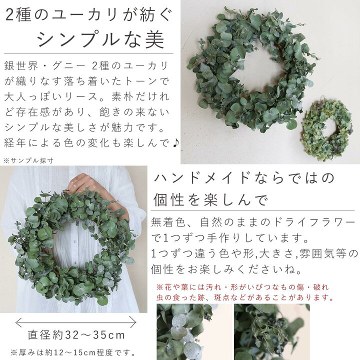 楽天市場】【約直径34cm】大きなユーカリのリース ＊ ユーカリだけの  