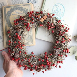 o̎̃[X lC̖o̎̃VbNőlۂVvȃhCt[[X NX}Xɂ ΂ Ԃ [X NX}X[X Vv  