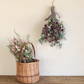 楽天市場 ニゲラ 種 種類 植物 ユーカリ の通販