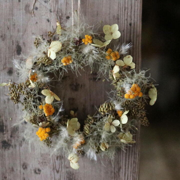 楽天市場】【1点もの】 山アジサイとスモークツリーのリース ＊ ドライ  