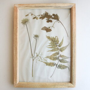 y1_ E A3TCYz{^jJt[̃AeB[Nt[  g {^jJ AeB[N t[[X kCeA JXj v[g a Mtg O[ i