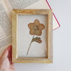 y1_ E 2Lz{^jJt[̃AeB[Nt[ B NX}X[Y g {^jJ AeB[N t[[X kCeA JXj v[g a Mt