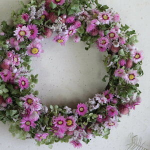 y񒼌a30cm ʌz 傫߃sÑL[gȃhCt[[X  hCt[ / 킢 ؂₩ av[g  i`  JXj Vzj j E