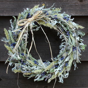 n[o[XzCg L (a25cm)/n[uՂ傫߃TCỸVbNȃ[X / i` Vv u[ zCg t` v@X j a Mtg zCgf[ v