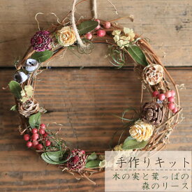 楽天市場 リース 手作りキット 花 観葉植物 花 ガーデン Diy の通販